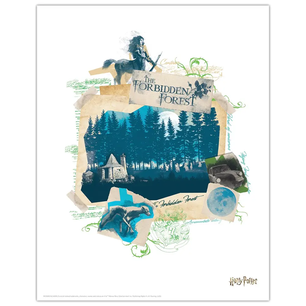 Harry Potter Limited Edition Lithograph Set