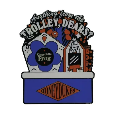Harry Potter Mystery Pin Badge CDU Containing 12 Blind Boxes