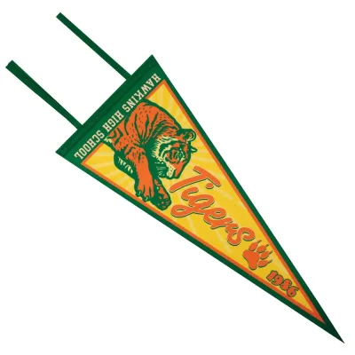Stranger Things Pennant and Pin Badge Set