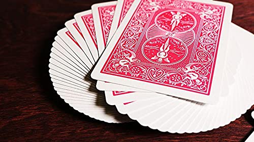 Bicycle Rider Back Playing Cards - Fuchsia