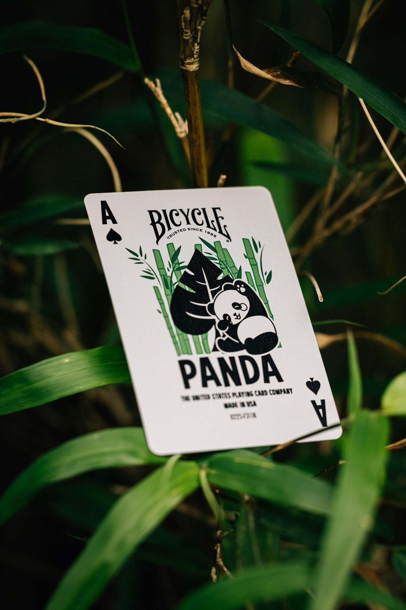 Panda Playing Cards