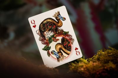 Moooi Extinct Animals Playing Cards
